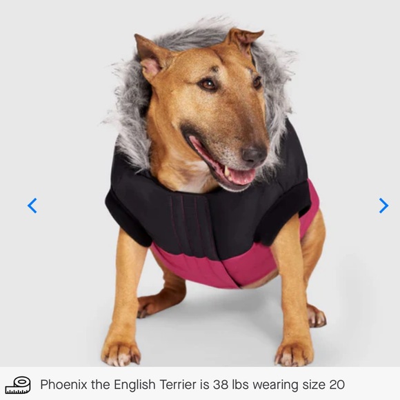 Canada Pooch True North Winter Parka - Pink - Size 20 - Picture 2 of 16